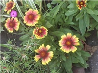 8eb60ad6-Picture 005.jpg